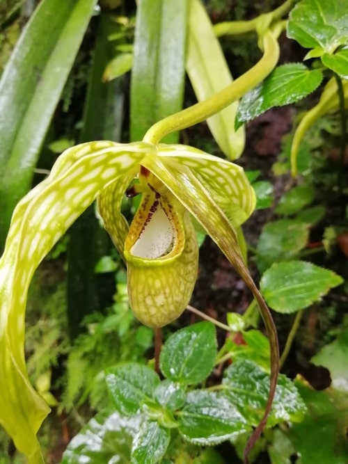 Sitios por visitar en MP