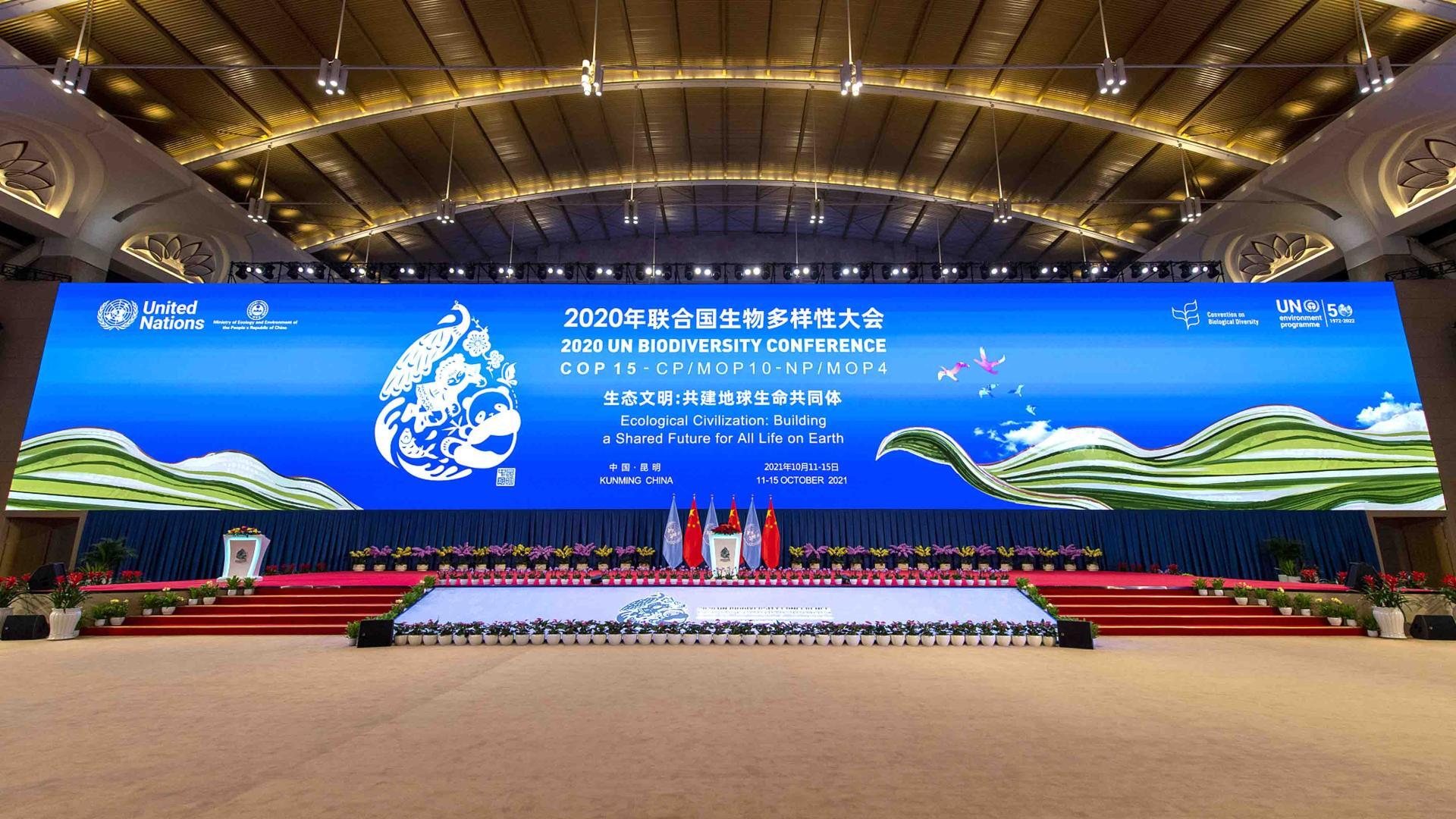 COP-15 UN Biodiversity Conference — preview card image