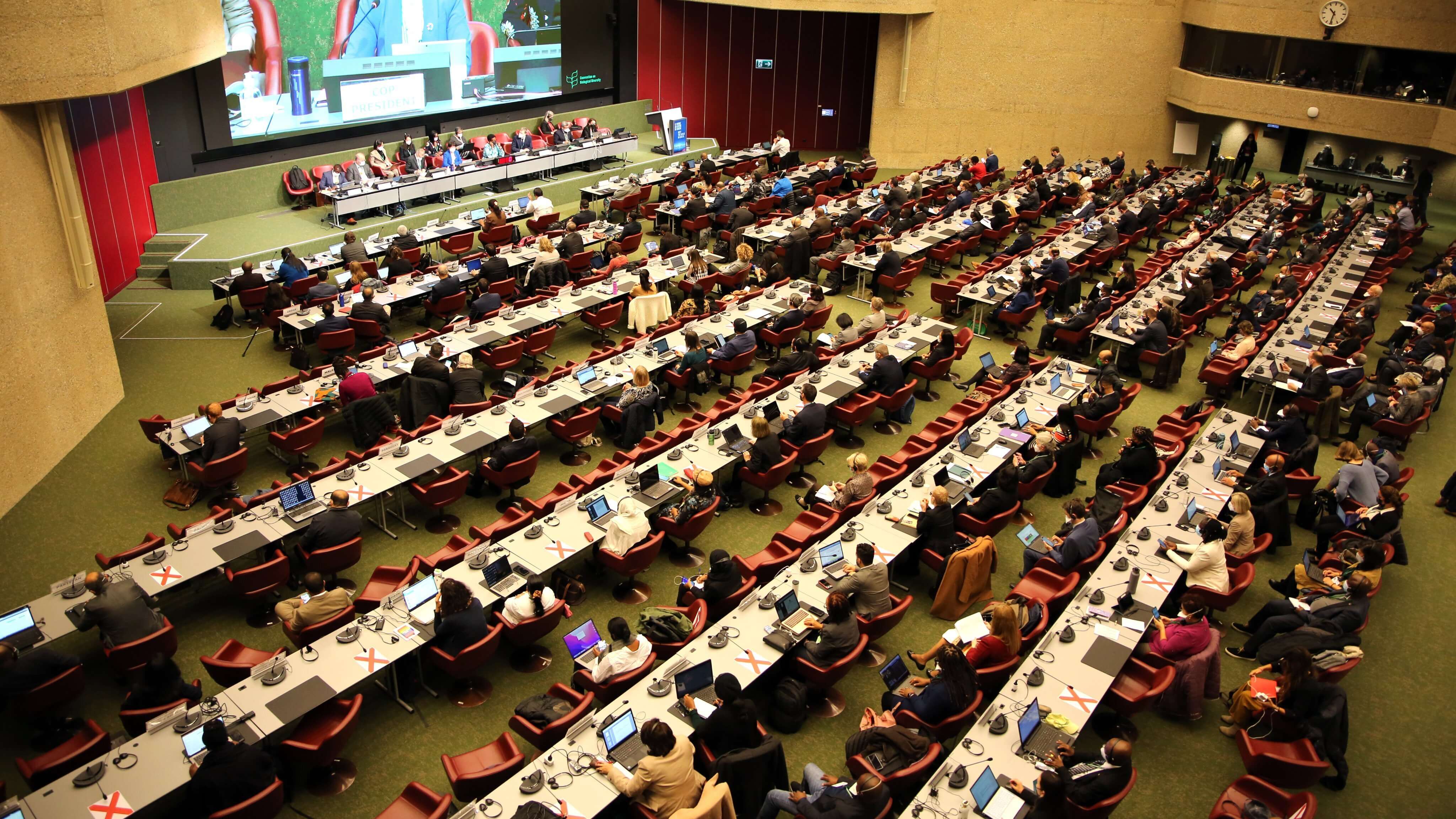 Convention on Biological Diversity UN meetings — preview card image
