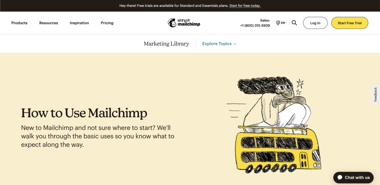 Mailchimp illustration