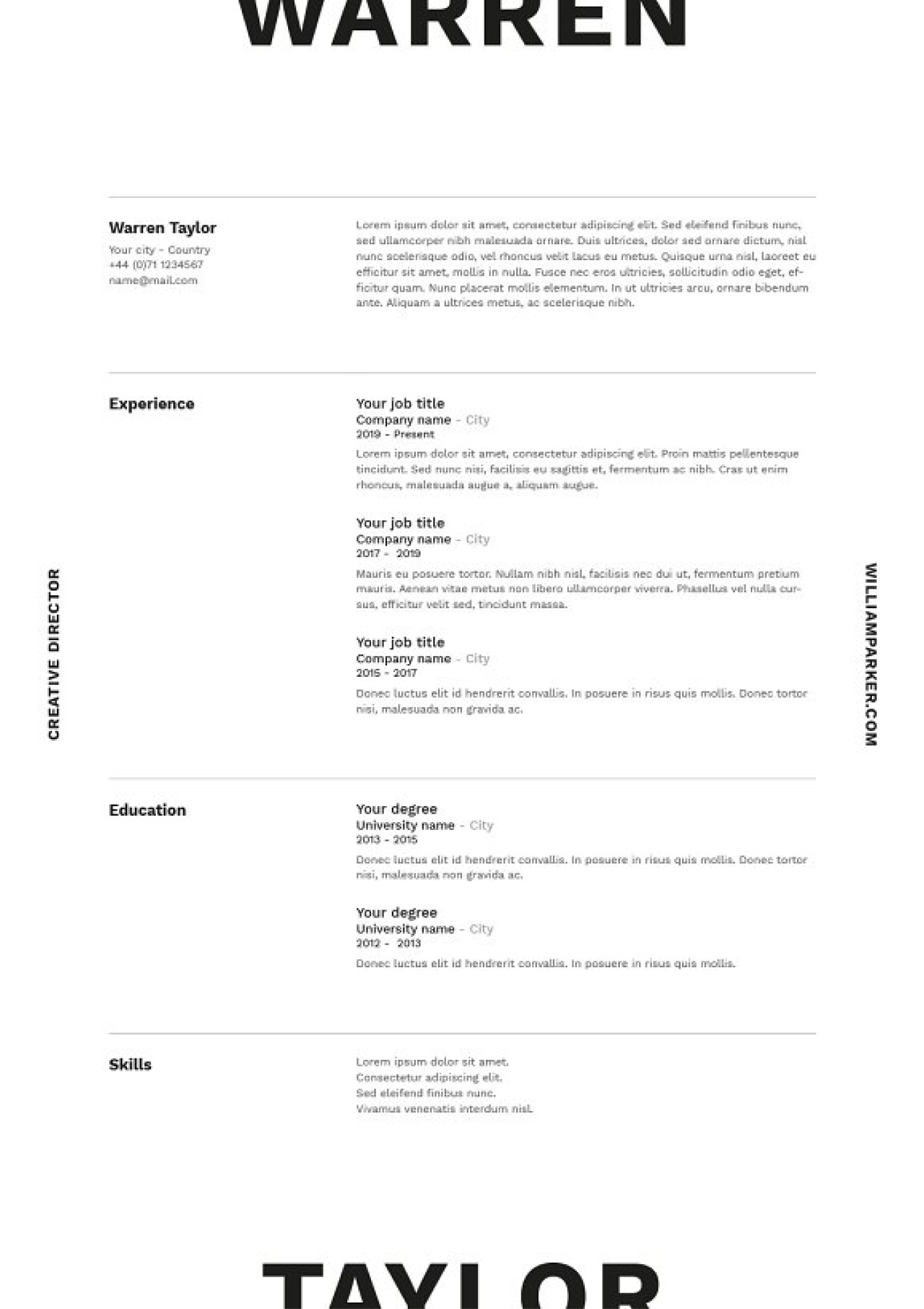 well-designed resume example