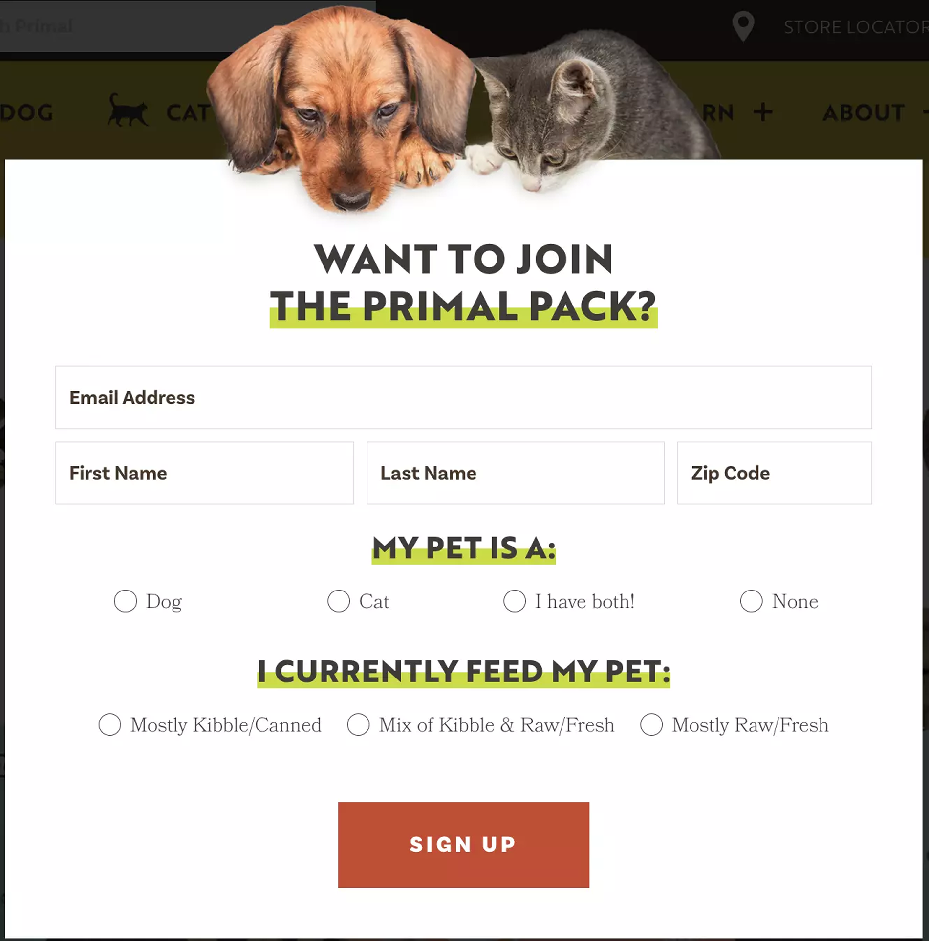 sign-up flow page example