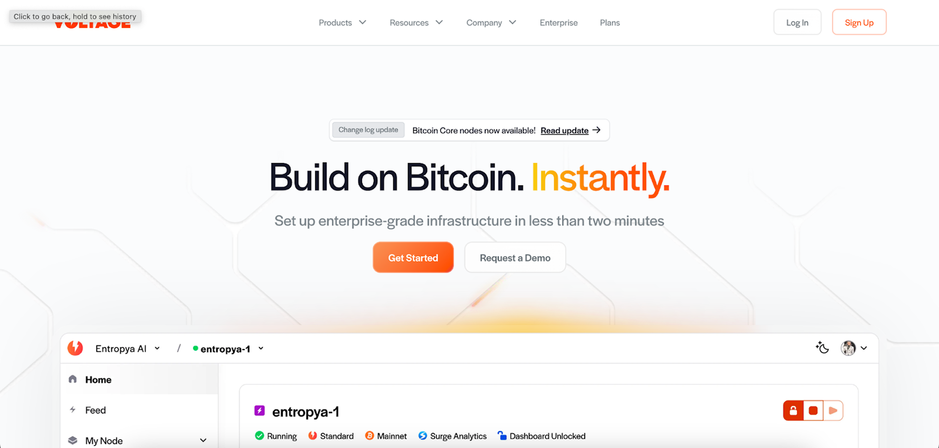 Voltage example of SaaS website