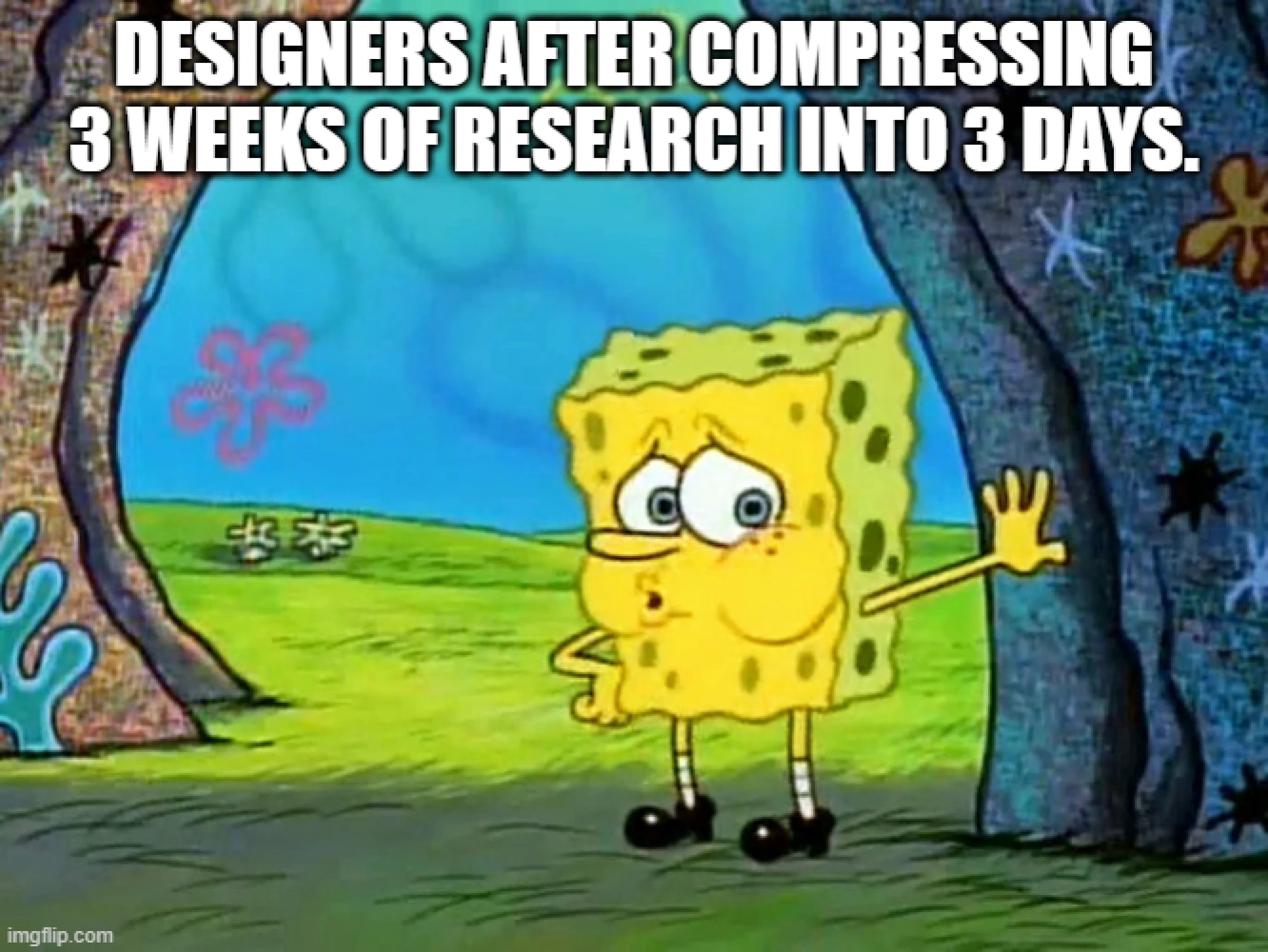 meme about project timelines