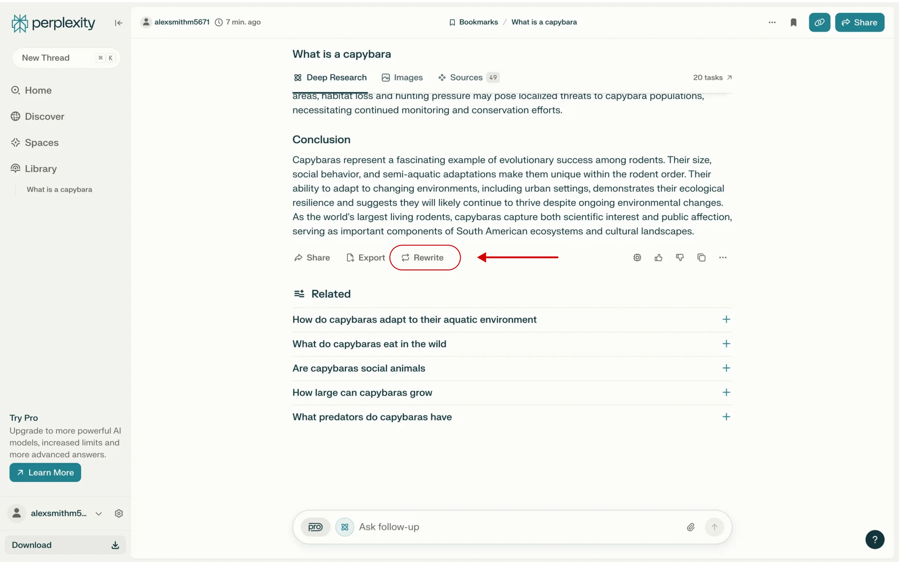 ai interface with user control mechanisms