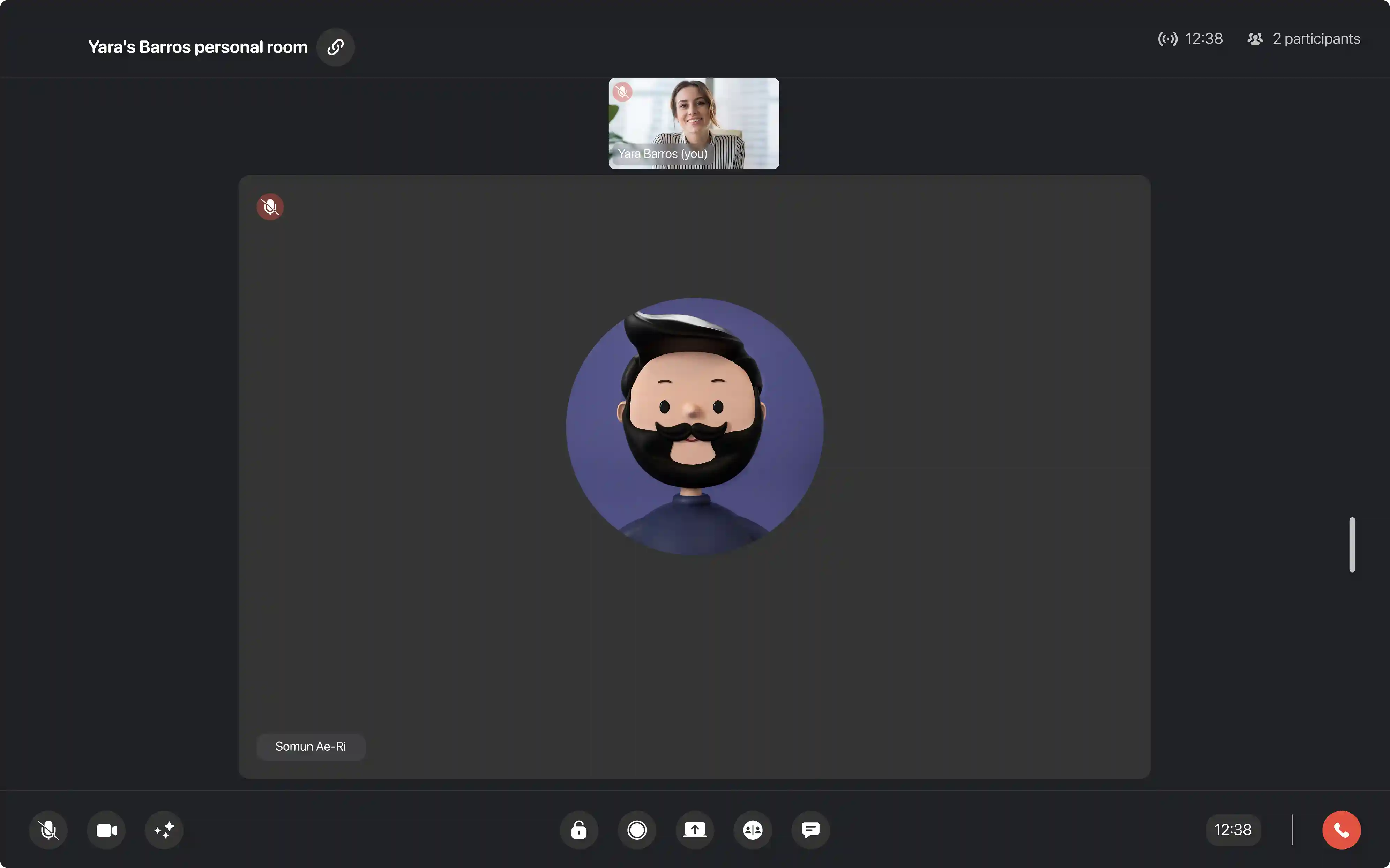 User video interface