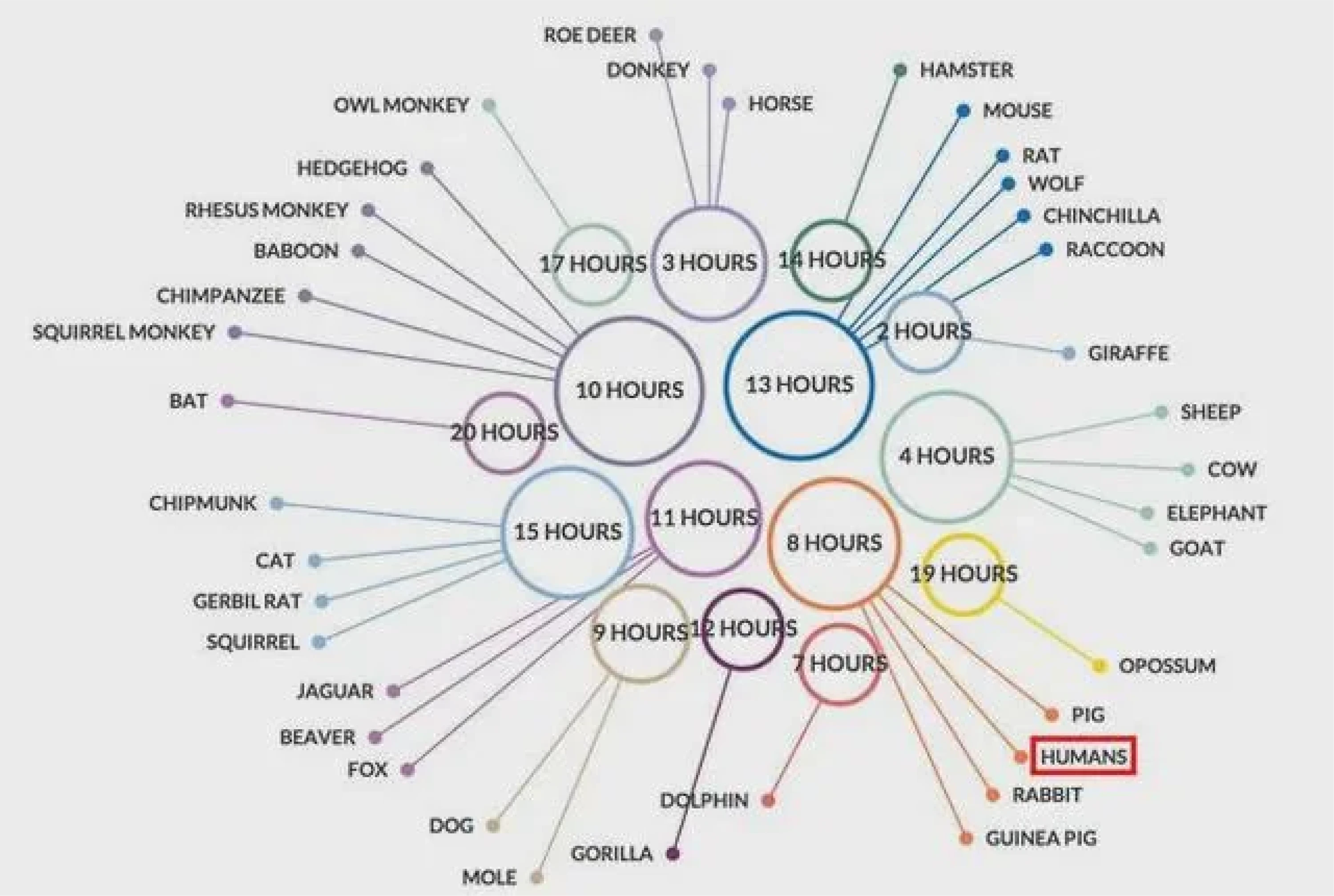 Radial layout confusion