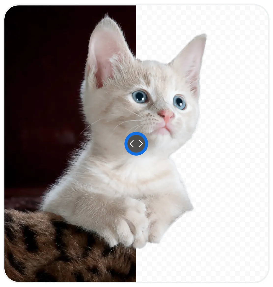 Remove.bg – AI-ased UX tool that removes background