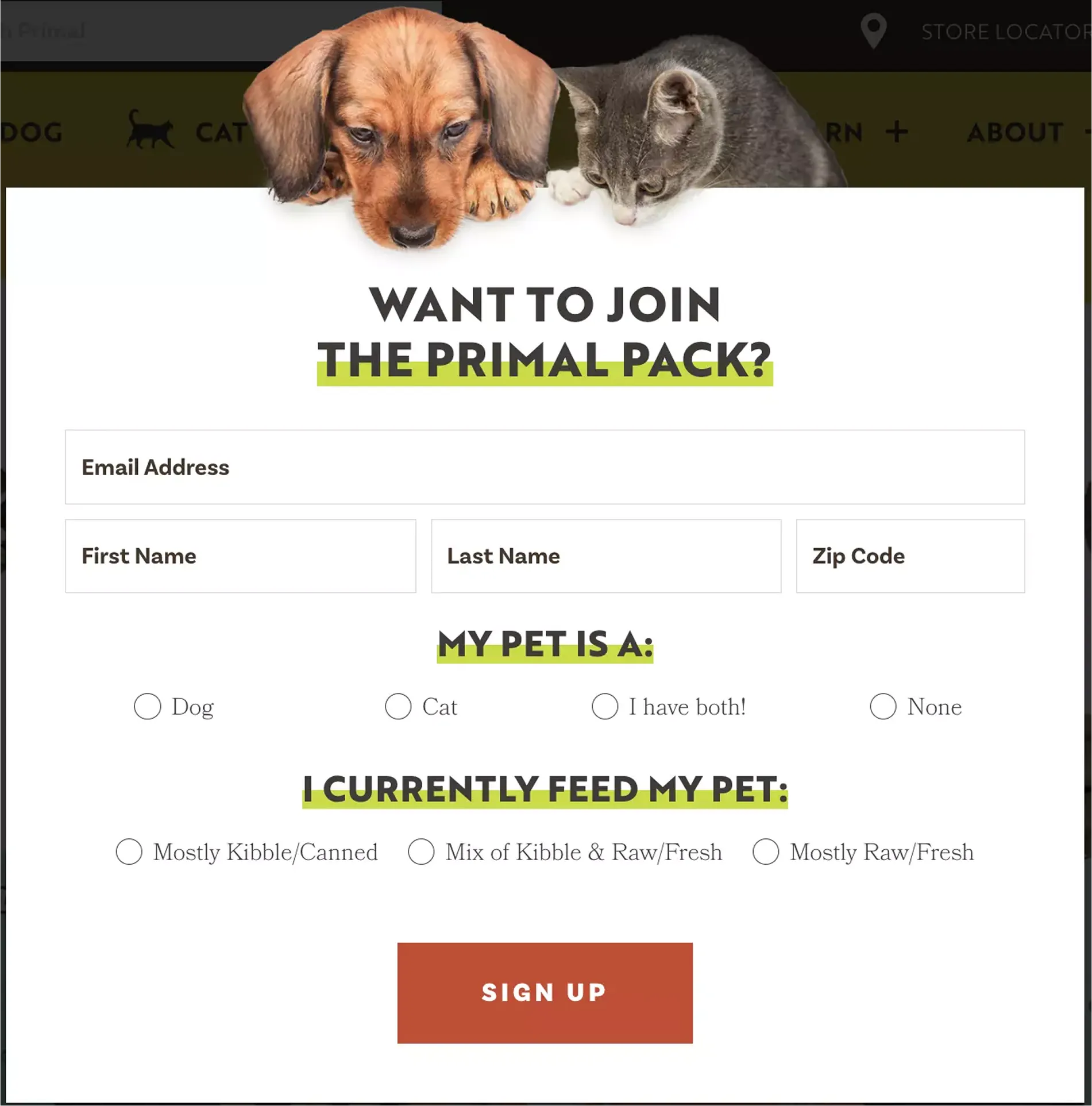 sign-up flow page example
