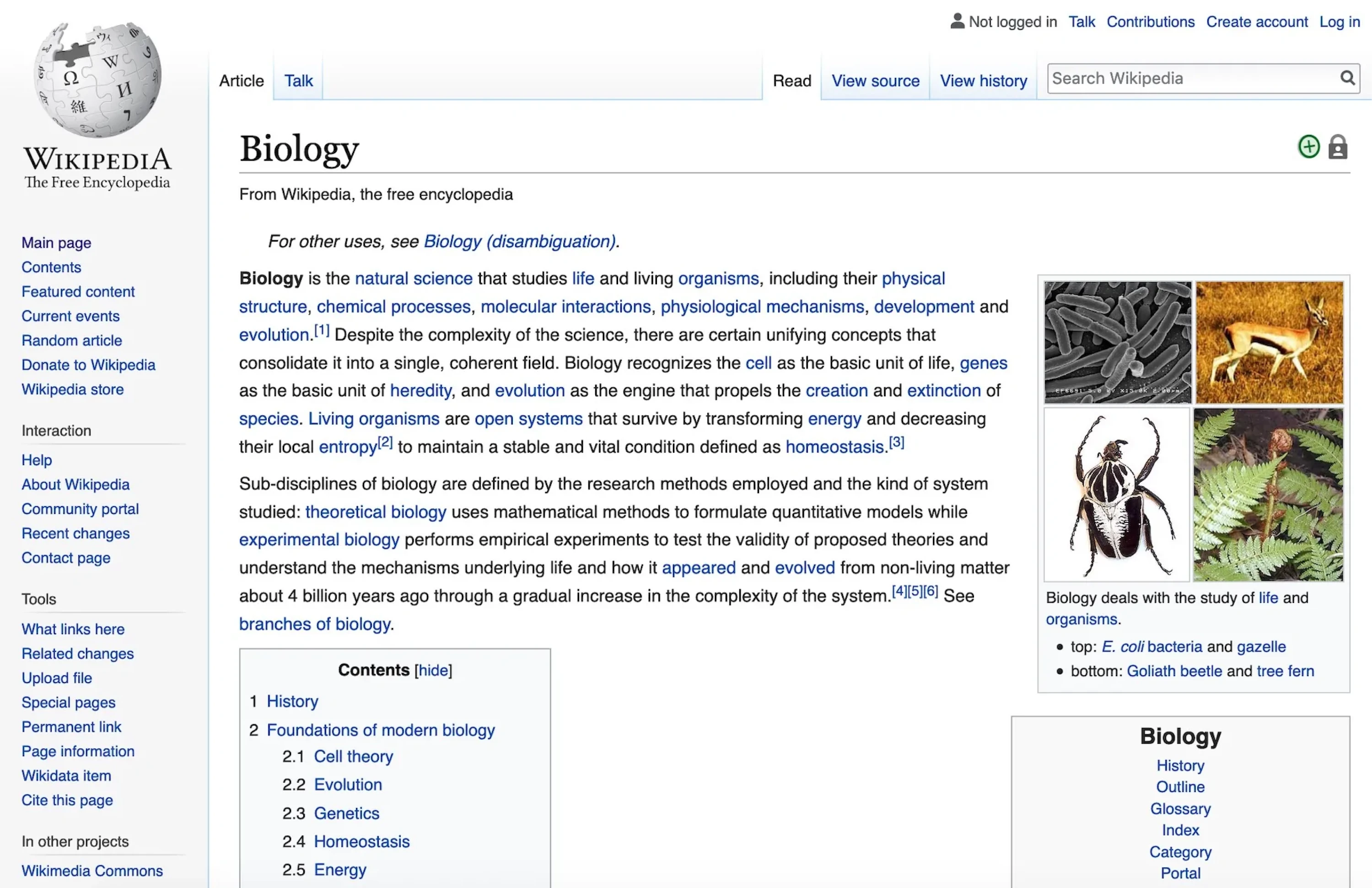 Wikipedia’s design in 2019