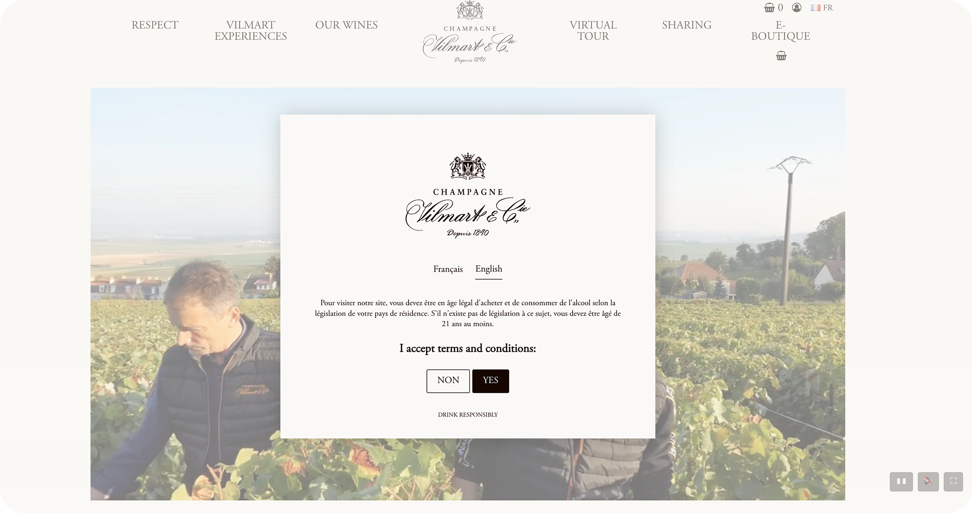 Vilmart & Cie splash page example