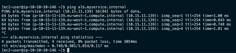 results of ping command