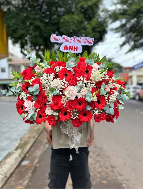 Dịu Êm - HSN.351