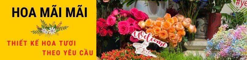 Mua Hoa Lan Hồ Điệp Ship Tận Nơi Tại Hà Nội