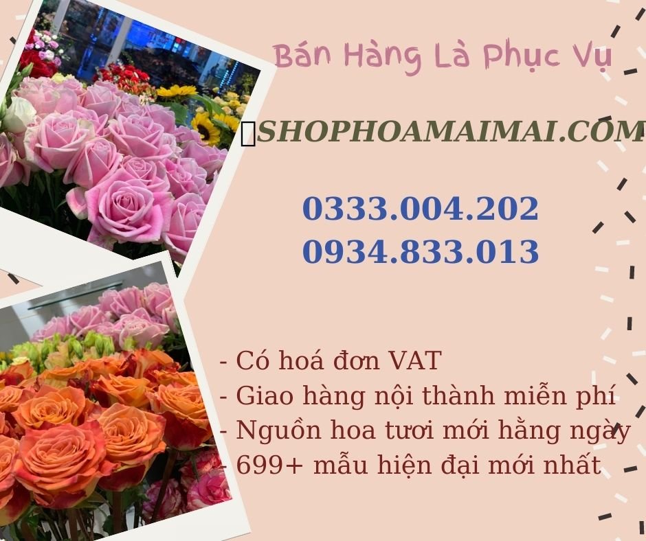 Showroom Hoa Lan Hồ Điệp Tại Hà Nội