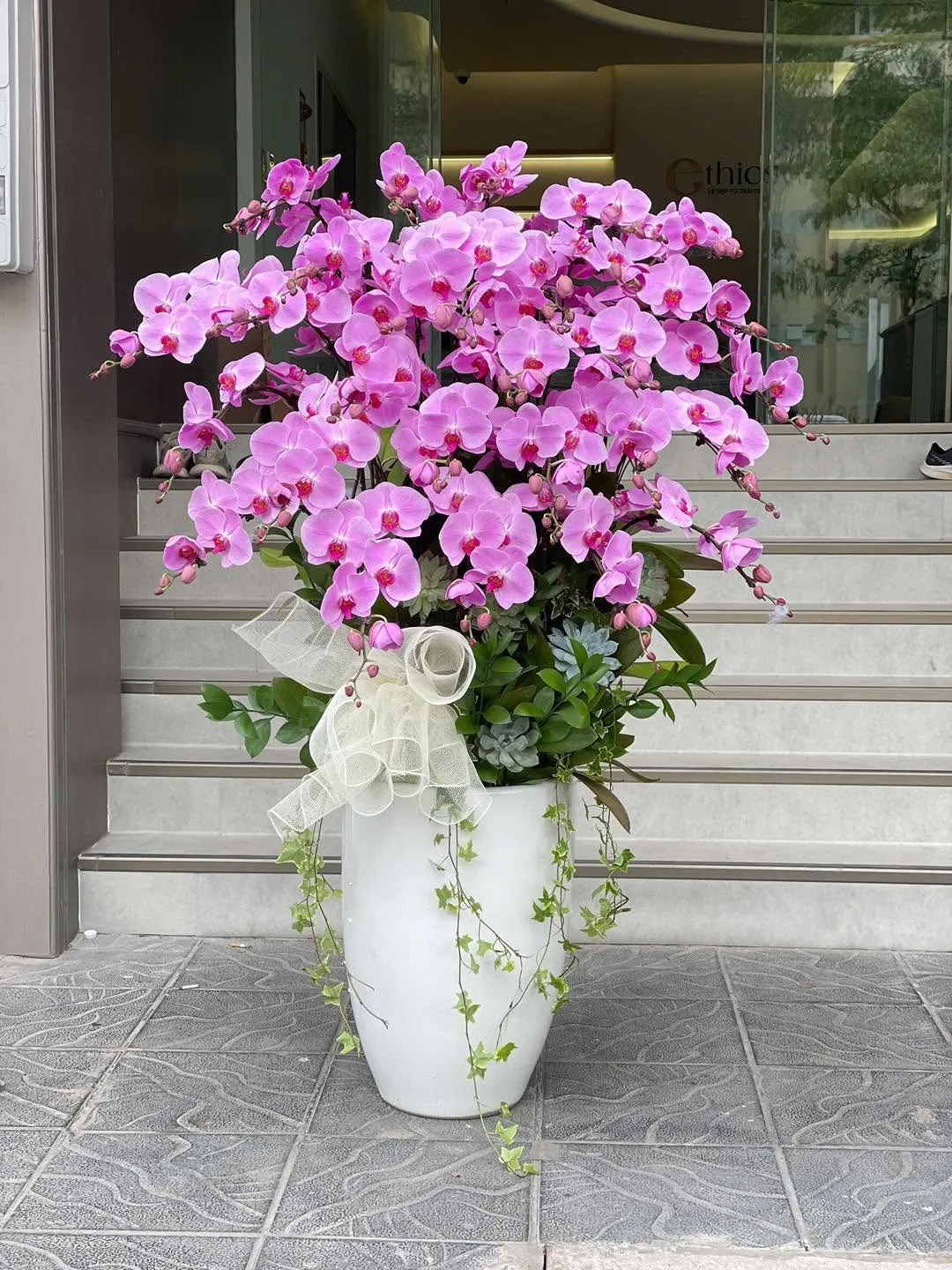 Shop Hoa Lan Hồ Điệp Lào Cai