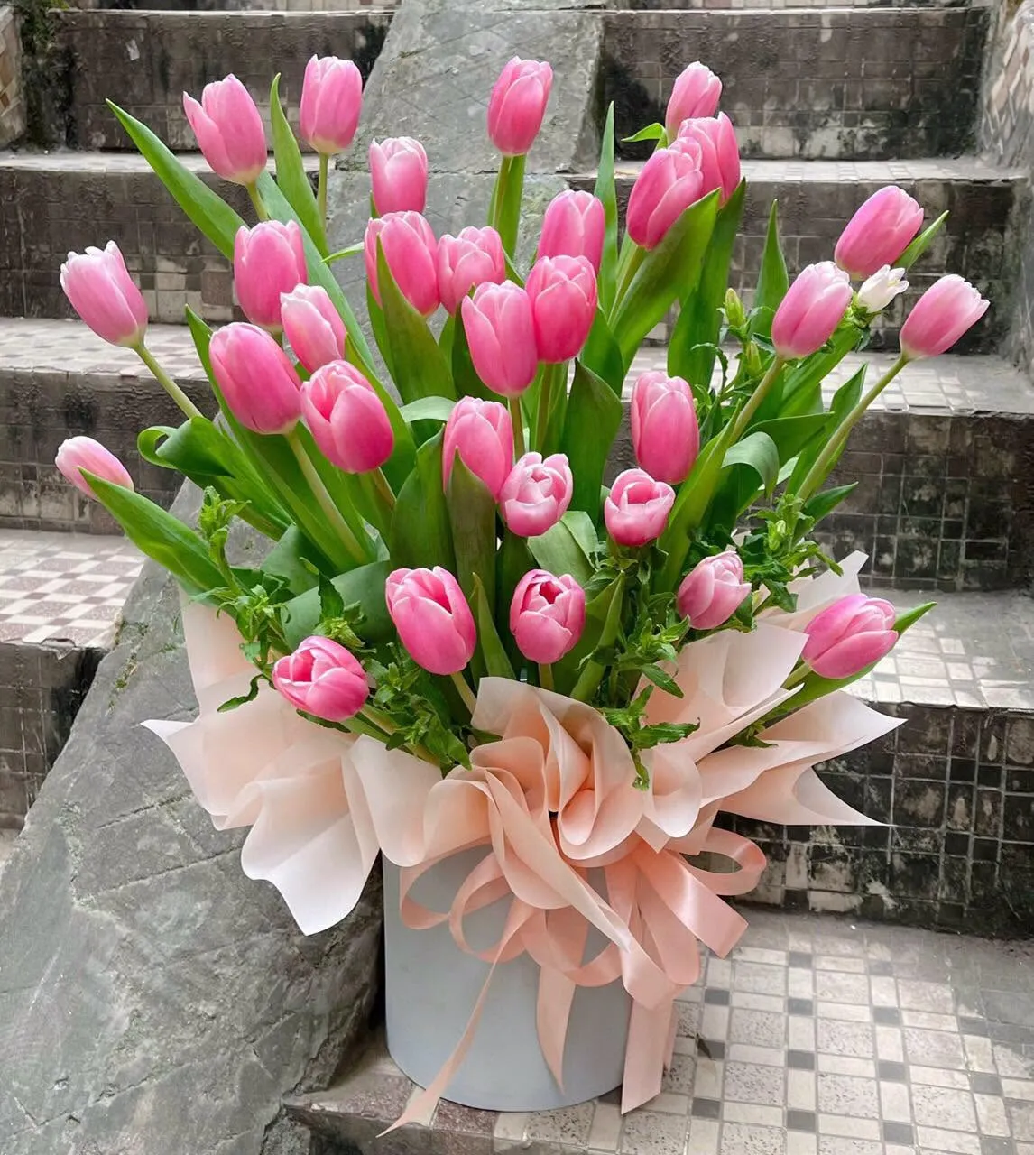 Cửa Hàng Hoa Tulip Chất Lượng Hồ Chí Minh