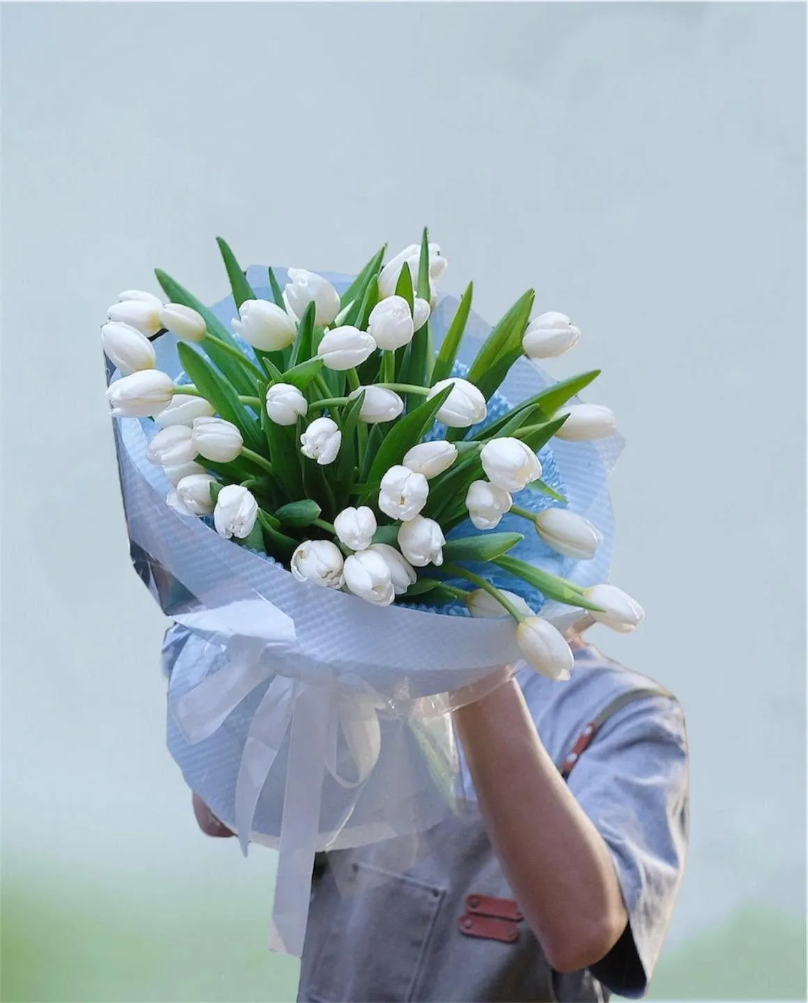Cửa Hàng Hoa Tulip Cao Cấp Bắc Ninh