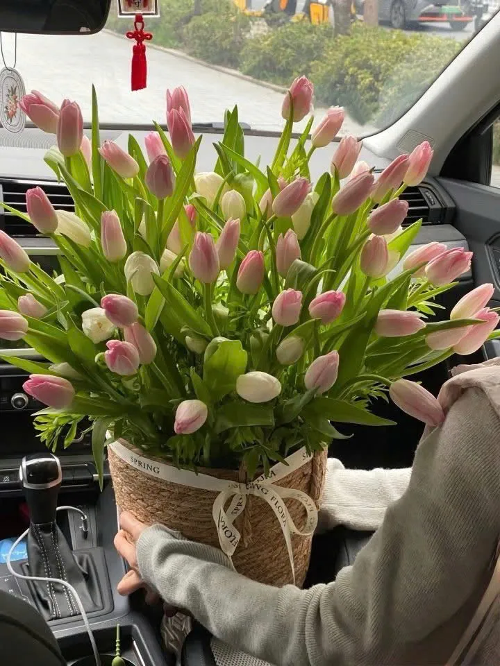 Tiệm Hoa Tulip Chất Lượng Hưng Yên