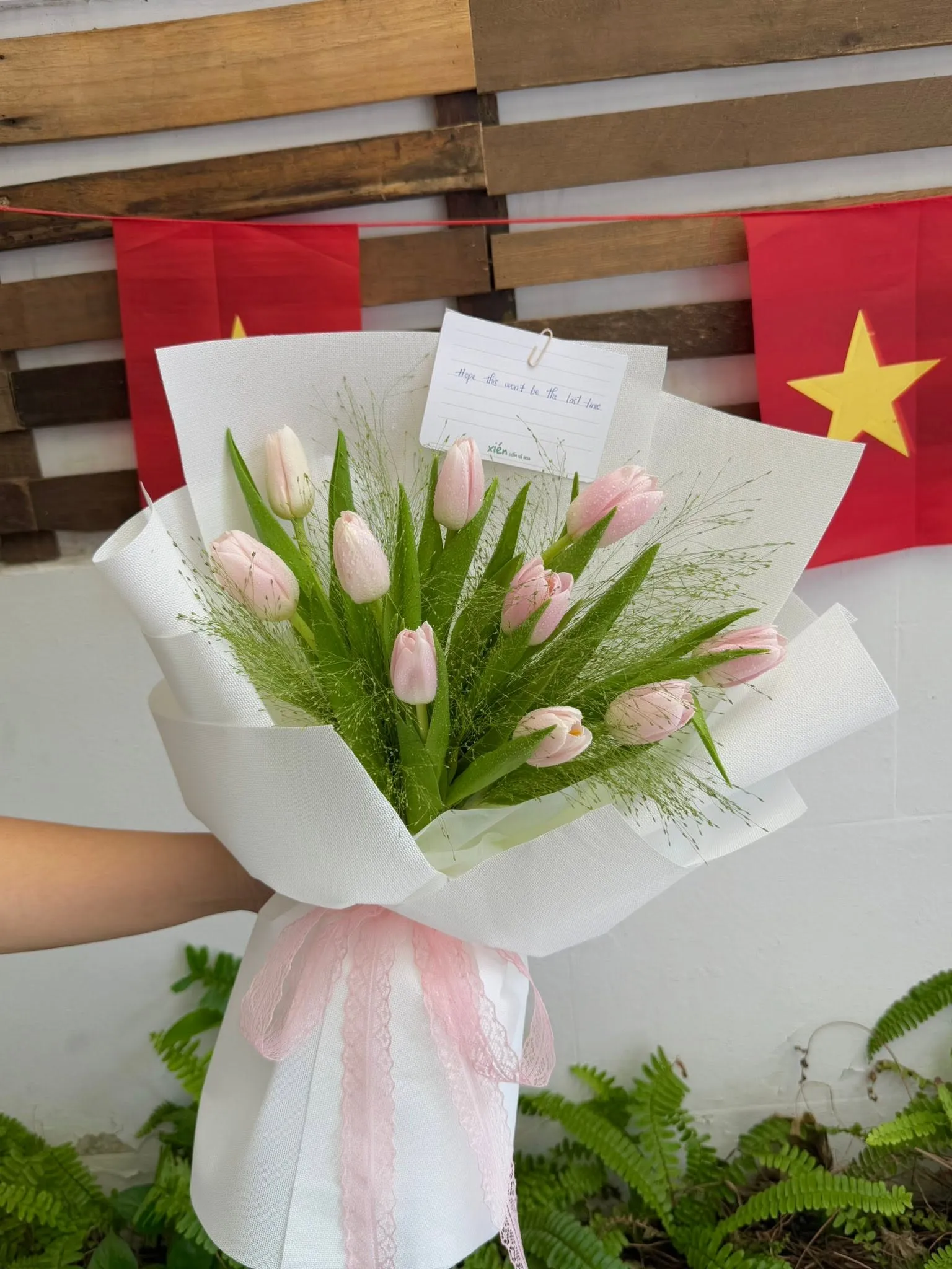 Cửa Hàng Hoa Tulip Cao Cấp Sơn La