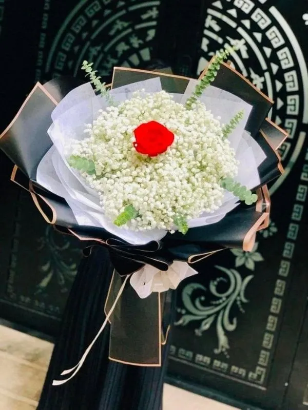 Bó Hoa Babi Trắng NSN - 27