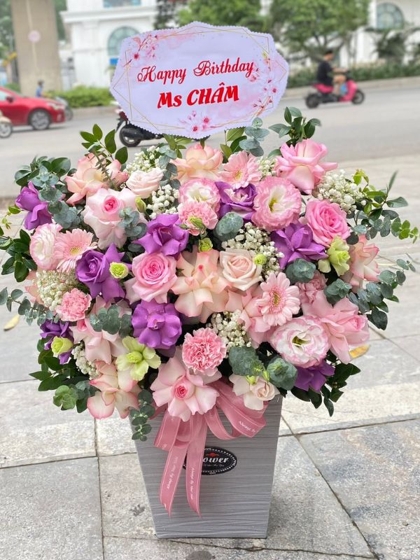 Chớm Xuân - HSN.321