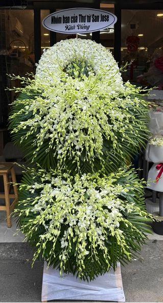 Màu sắc: trắng thanh khiết. Dịp tặng: lễ viếng, lễ tang, lễ nhập quan, tiễn biệt, chia buồn. Loại sản phẩm: Hoa chia buồn / hoa tang lễ.

Hoa Đám Tang - HCB 122 được Hoa Mãi Mãi giới thiệu như một mẫu kệ hoa phúng điếu tinh tế, gói trọn sự trang nghiêm và lòng thành kính, thích hợp cho lễ nhập quan, lễ viếng và lễ di quan.

Gam màu trắng thanh khiết được lựa chọn làm điểm nhấn xuyên suốt, giúp sản phẩm vừa giữ được nét trang trọng cần thiết của một sản phẩm hoa tang lễ, vừa không quá u ám, nặng nề.

Sản phẩm nổi bật với cúc đại đóa trắng và lan vũ nữ trắng vàng nhạt làm trung tâm, xen kẽ lá cau xanh mướt tạo nên bố cục hài hòa, không quá cầu kỳ nhưng vẫn toát lên sự chỉn chu trong từng chi tiết nhỏ.

Kích thước tiêu chuẩn của mẫu này cao khoảng 2,1 – 2,4m, đường kính phần hoa chính 90 – 110cm, đảm bảo sự cân đối khi trưng bày; quý khách có thể yêu cầu làm to hơn hoặc nhỏ hơn tùy theo không gian tổ chức tang lễ.

Thông điệp gửi viếng: đi kèm bảng tên trang trọng thể hiện rõ mối quan hệ và lời tiễn biệt, nội dung có thể là "Kính viếng", "Thành kính phân ưu" hoặc lời nhắn riêng do quý khách cung cấp.

Tùy biến mẫu theo yêu cầu: Với nhiều năm kinh nghiệm trong lĩnh vực hoa tang lễ, Hoa Mãi Mãi có thể điều chỉnh linh hoạt mẫu hoa theo yêu cầu riêng của từng gia đình, cam kết giao hoa tận nơi, đúng giờ và luôn giữ được độ tươi mới.