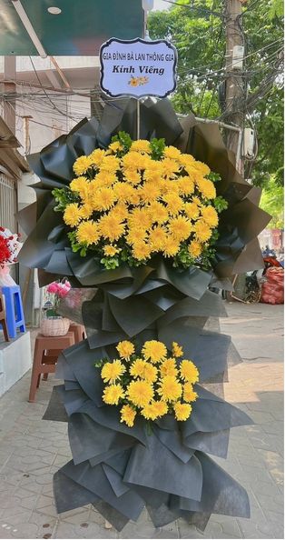 Màu sắc: đỏ. Dịp tặng: lễ viếng, lễ tang, lễ nhập quan, tiễn biệt, chia buồn. Loại sản phẩm: Hoa chia buồn / hoa tang lễ.

Vòng Hoa Tang Lễ - HCB.77 là lựa chọn kệ hoa được nhiều gia đình tin dùng khi cần gửi lời tiễn biệt, được Hoa Mãi Mãi thiết kế cẩn thận để phù hợp không gian tang lễ trang trọng, lặng lẽ nhưng vẫn ấm áp nghĩa tình.

Sản phẩm được phối theo tone vàng rực rỡ, một gam màu quen thuộc trong văn hóa tang lễ Việt Nam, vừa trang nghiêm vừa thể hiện sự tôn kính dành cho người quá cố.

Nghệ nhân lựa chọn cúc đại đóa vàng làm hoa chủ đạo nhờ độ bền và vẻ đẹp trang nhã, phối thêm lan mokara trắng điểm xuyết, lá cau giúp tổng thể trở nên sống động, tự nhiên hơn nhưng vẫn giữ được nét trang trọng.

Về kích thước, sản phẩm cao khoảng 1,8 – 2,0m, đường kính phần hoa chính 70 – 90cm, phù hợp đặt tại nhà tang lễ, hội trường hoặc không gian viếng có diện tích vừa và lớn; kích thước có thể điều chỉnh linh hoạt theo yêu cầu thực tế.

Thông điệp gửi viếng: có thể đính kèm dải lụa ghi tên người gửi cùng câu chia buồn quen thuộc như "Vô cùng thương tiếc", "Thành kính phân ưu" hoặc nội dung tùy chỉnh theo mong muốn gia quyến.

Tùy biến mẫu theo yêu cầu: Nếu quý khách có yêu cầu riêng về màu sắc, loại hoa hay kiểu dáng, đội ngũ nghệ nhân của Hoa Mãi Mãi luôn sẵn sàng tư vấn và điều chỉnh cho phù hợp nhất với mong muốn, đồng thời cam kết giao hoa đúng giờ, hoa tươi trong ngày.