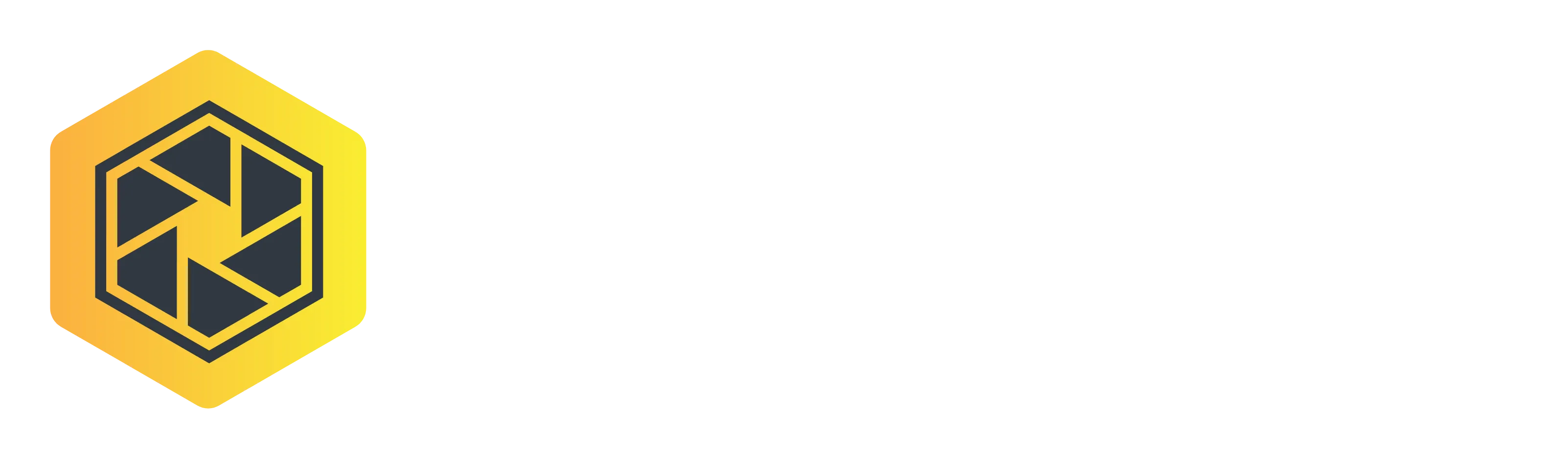 ExcelSense logo white