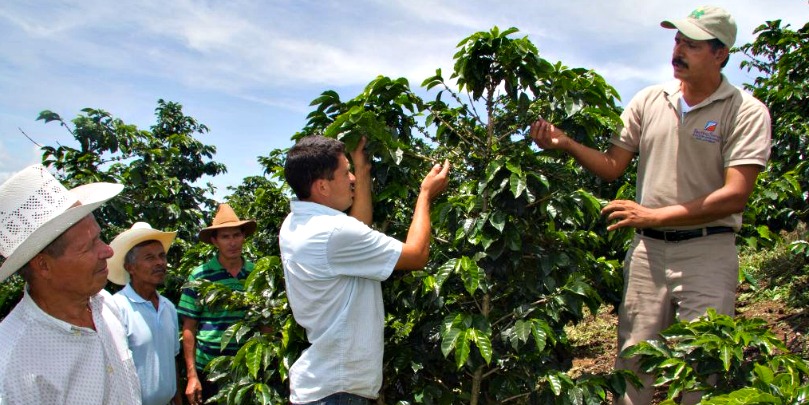 honduran coffee farmer giving a tour
