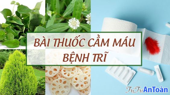 thuoc-cam-mau-benh-tri-1