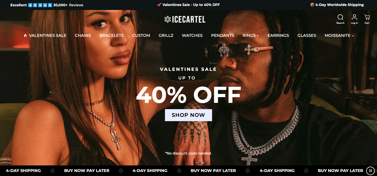 screenshot of a website homepage for a ecommerce brand Icecartel