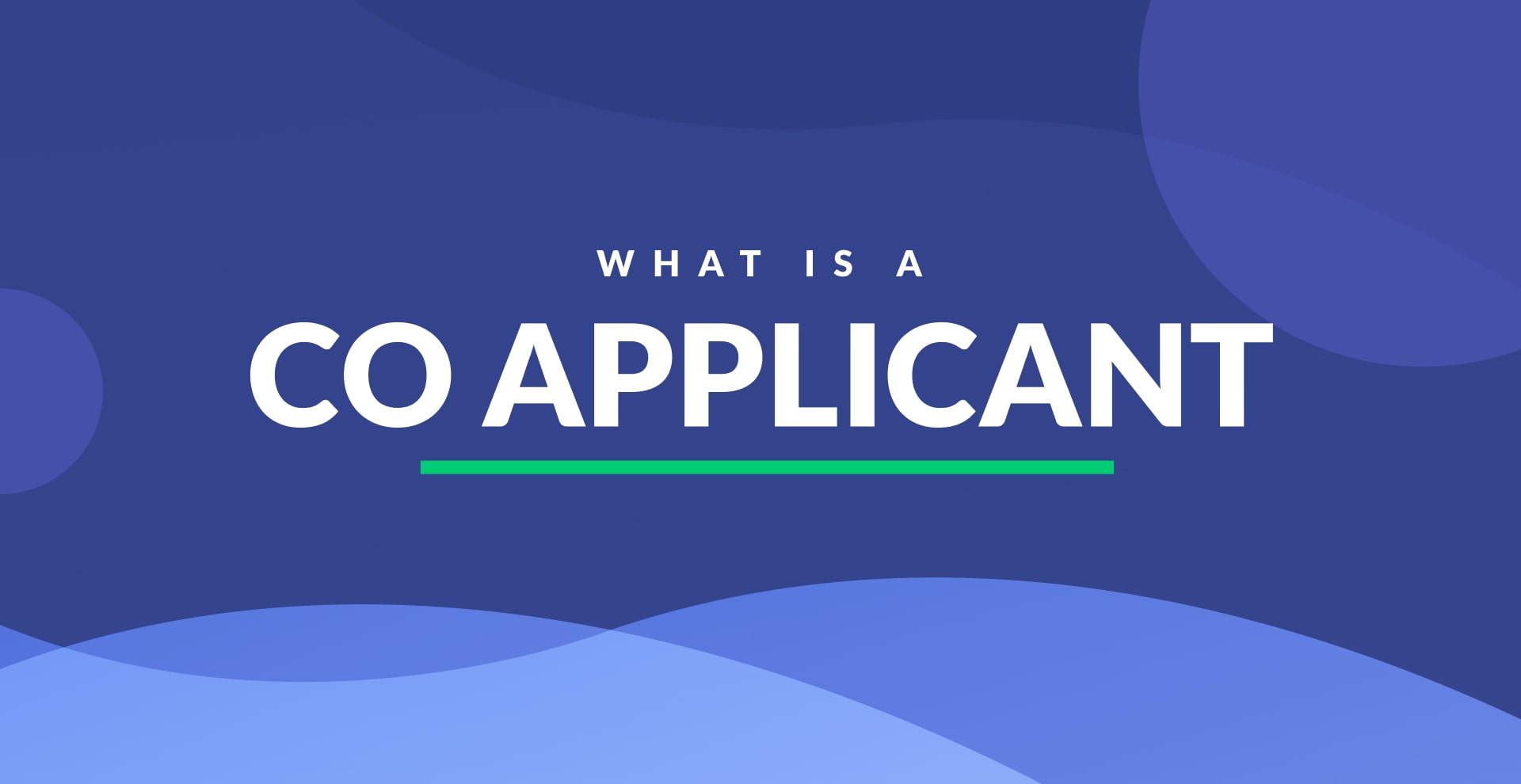 What Is A Co Applicant | Definition &amp; Examples