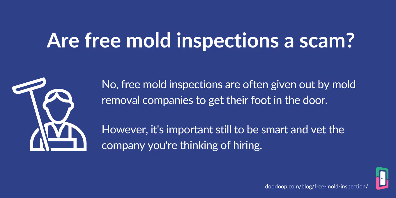 Are free mold inspections a scam