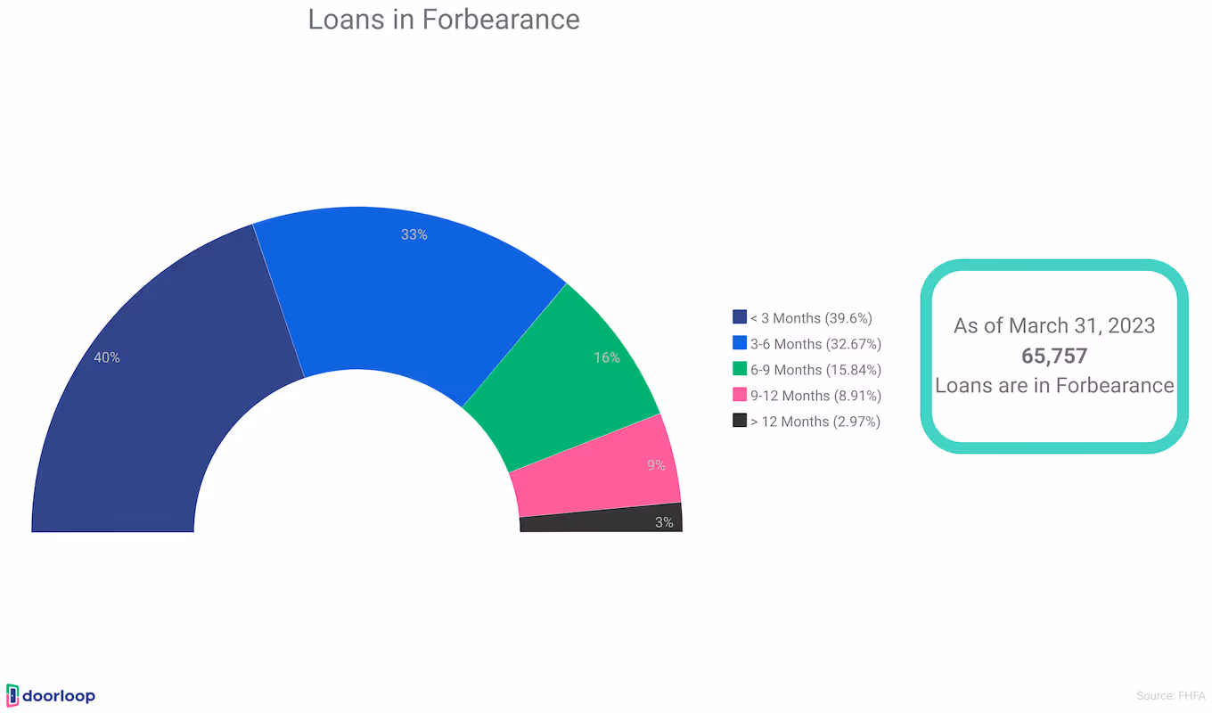 Loans in forbearance