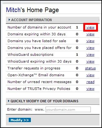 Domain management in Namecheap