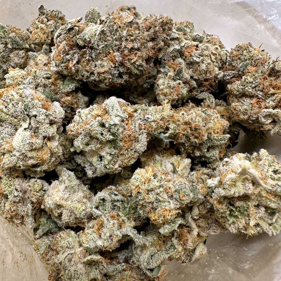 Forbidden Blueprints