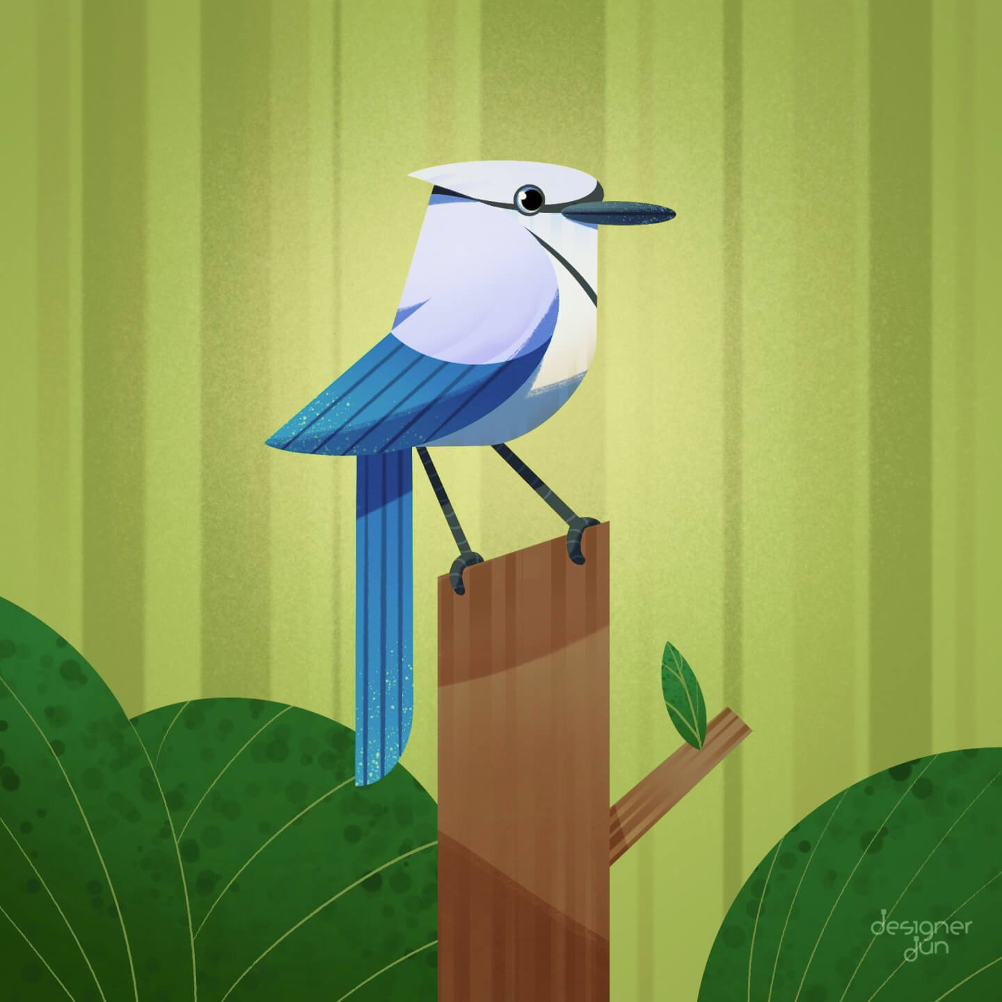 blue jay in the forest