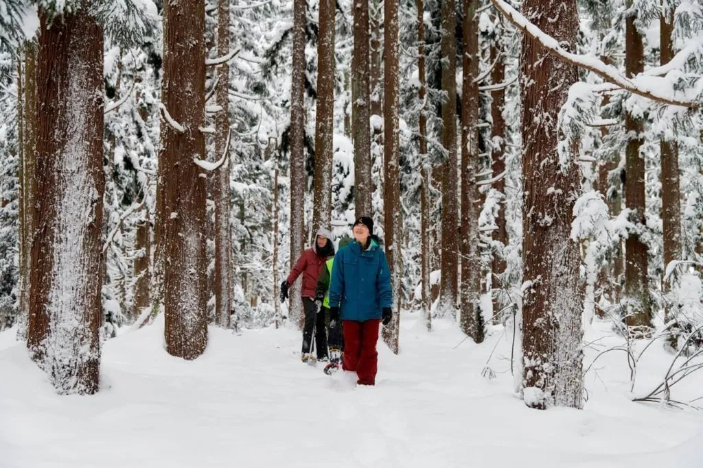 Snowshoe Tours - Myoko Tourism
