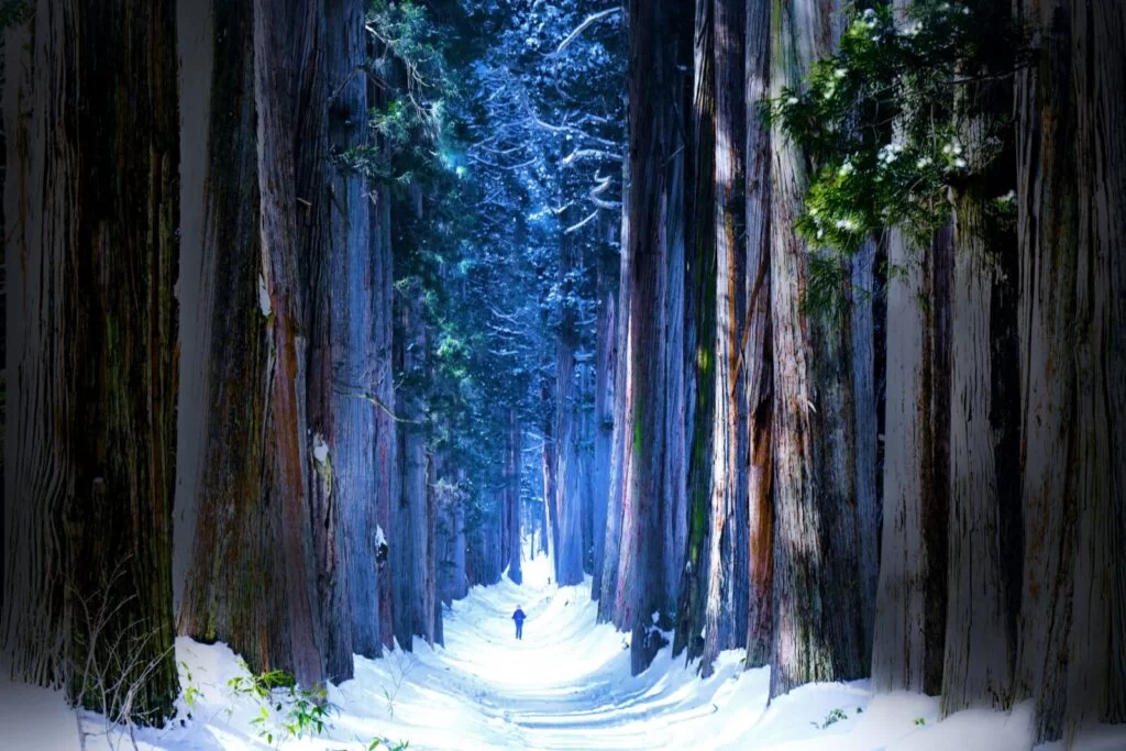 Private Winter Togakushi Tour: Snow, Shrine & Cedar Trees - Snow Monkey  Resorts