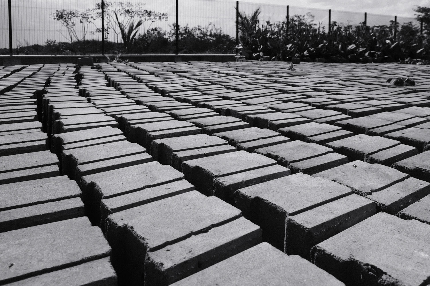 Rows of freshly pressed earth bricks laid out to dry