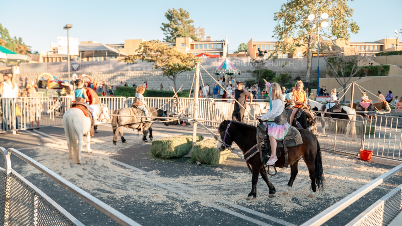Pony rides at Family Fun Fest