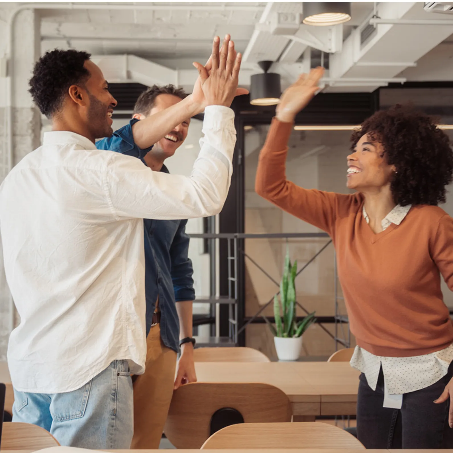 Team-Erfolg im modernen Büro – Symbolbild für Zusammenarbeit, Motivation und Erfolg mit Haufe DocPlus.