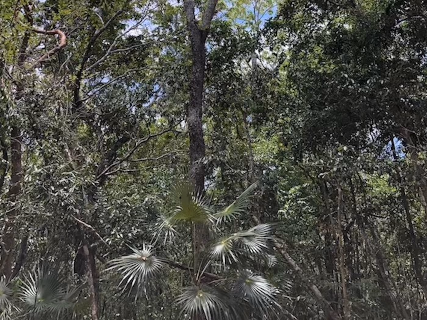 Departamentos en venta en Tulum con diseño natural y cenote artificial