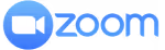 Zoom Logo