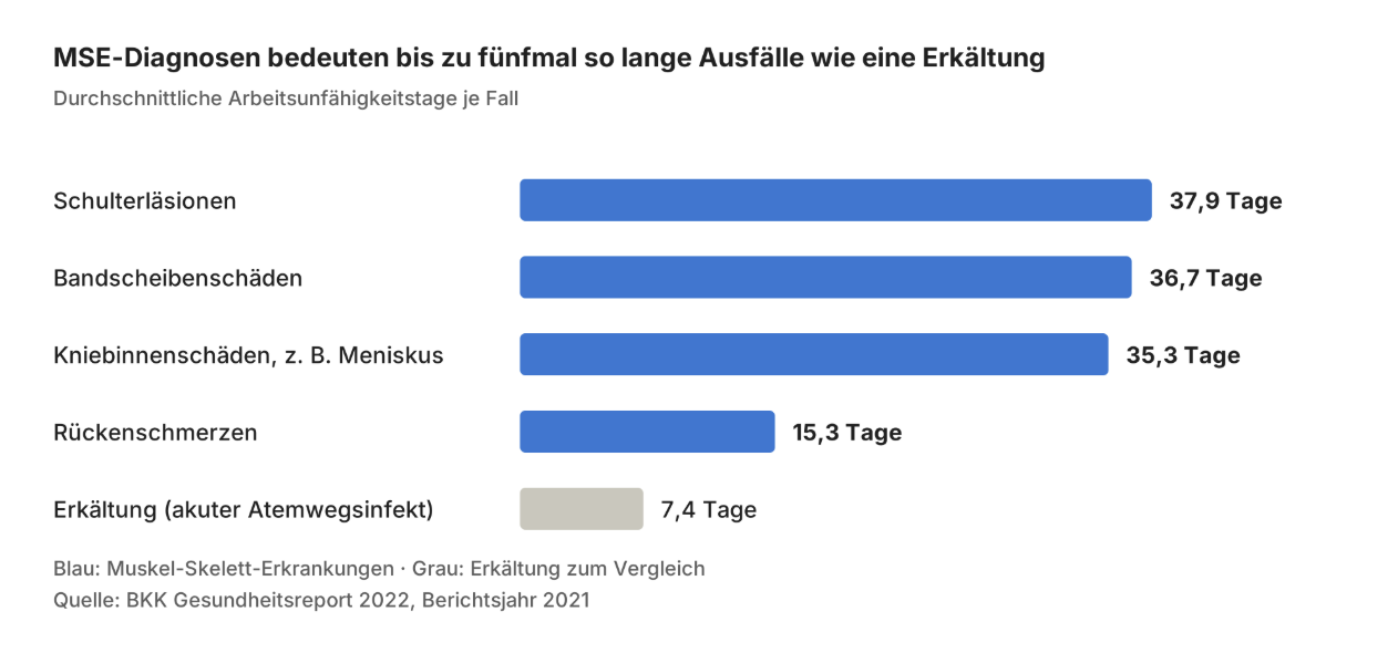 Muskel-Skelett-Erkrankungen Diagnosen