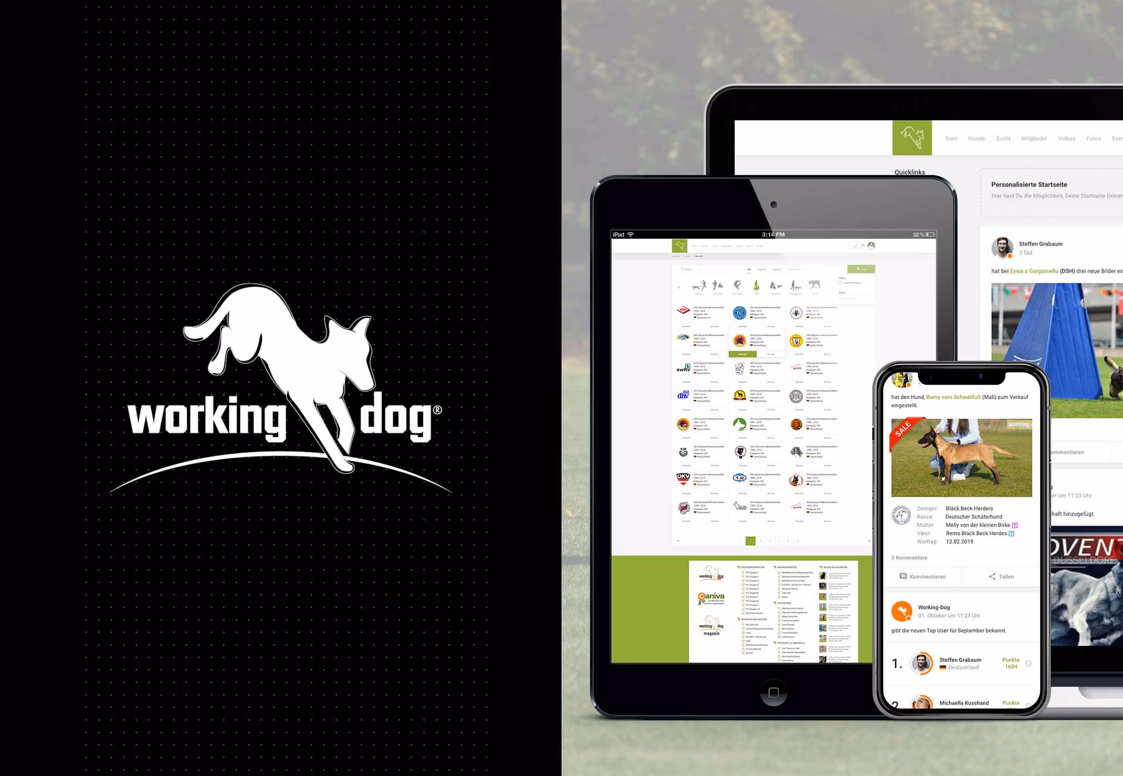working-dog