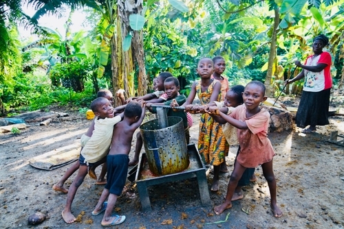 Children working on a farm in the Western Region of Ghana