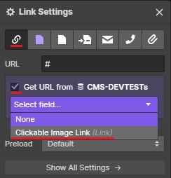 Connecting Link Settings to the CMS