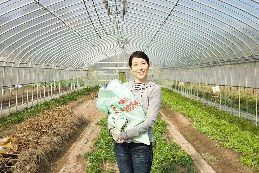 don-hang-di-nhat-khong-can-chieu-cao